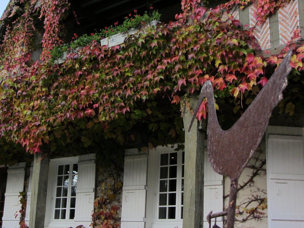 Les Vieux Guays Bed & Breakfast Cerdon  Exterior foto